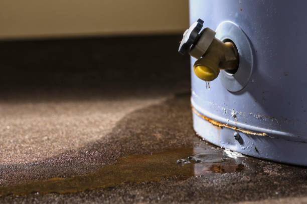 Best Water damage restoration near me  in Wauregan, CT