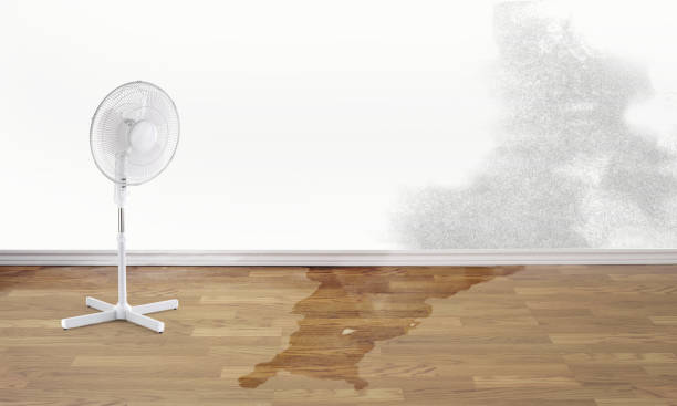 Professional Water damage restoration in Wauregan, CT